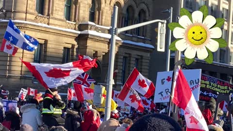 They Said What? Freedom Convoy 2022 Ottawa Ontario Canada