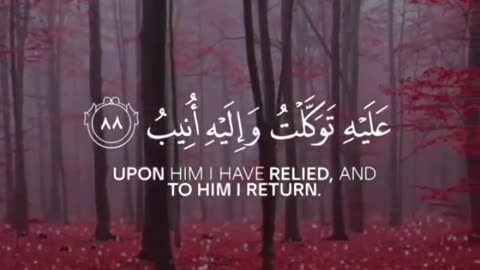 Quran #quran #quranrecitation #islam #ayat #deen #englishsubtitle