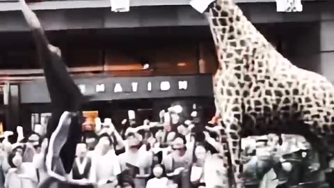 Dwight Howard dunked 12 feet in China! #nba #dwighthoward #dunk