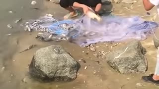 Amazing Asian Casting Net Fishinig