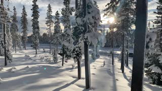 Sun Lighting Up the Snow – Central Oregon – Vista Butte Sno-Park – 4K