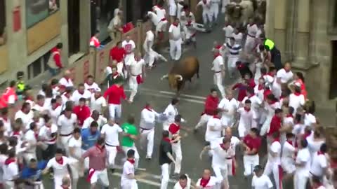 Six gored on day two of Spain's bull-running week