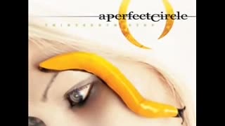 The Noose by A Perfect Circle