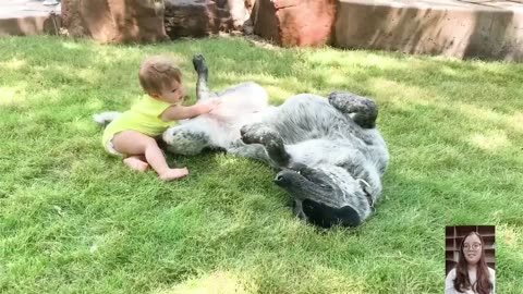 Adorable Babies Playing With Dogs Compilation - Funny Baby And Dog Videos ||