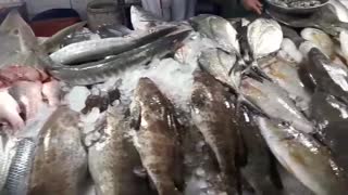 Thai Fish/Seafood Market in Bangrak on Koh Samui
