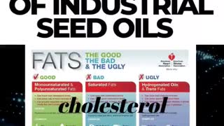 Dark History of Industrial Seed Oils