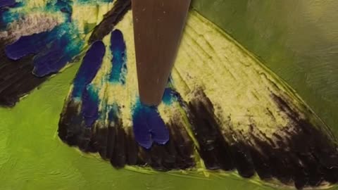 Oil pastel drawing - Blue Morpho butterfly