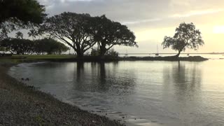 Hilo, HI — Reeds Bay Beach Park