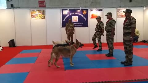 CISF demonstration of Dog Squad.