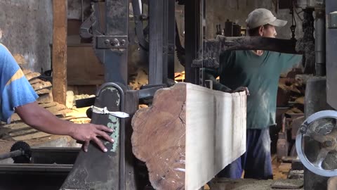 Sawmill Process Watch Up Close Large Teak Wood
