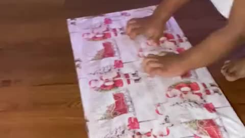 Toddler has priceless reaction after opening up Christmas gift