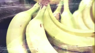 Significado de Sonhar com muitas bananas