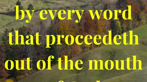 Man shall not live by bread alone, but by every word that proceedeth out of the mouth of God