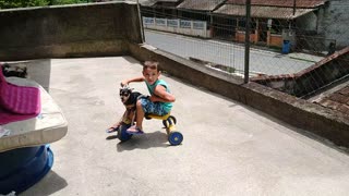 Dog Shares Bike With Boy