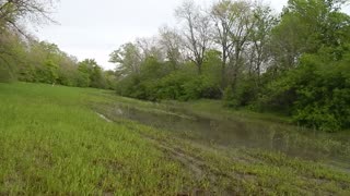 Attempting to Travel Down the Clear-Cut Path SE of EOR lot