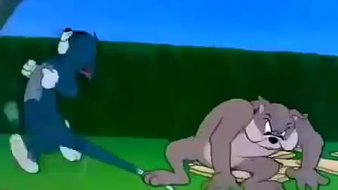 Funny Tom and Jerry cartoon videos, cartoon funny Video, kid's cartoon funny Video,