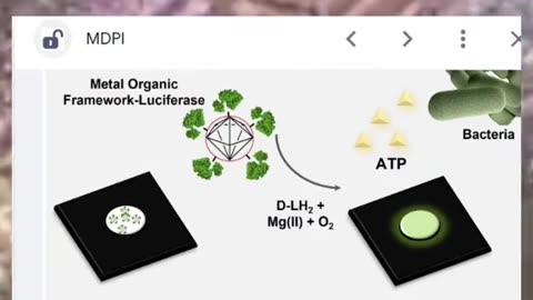 Famous hydrogel by DARPA inside shots & tests .....