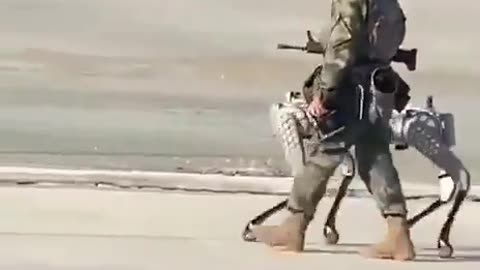 A Chinese soldier can be seen walking his robot dog completely armed with a machine gun.