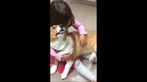 Dog Stops Little Girl's Tantrum