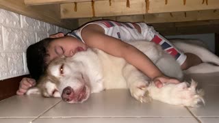 Kiddo Found Snoozing with Husky Best Friend
