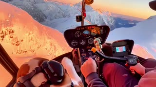 A pilot takes a cute dog as his co-pilot 😜