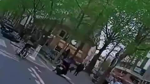 Apparently these are Afghan asylum seekers going on the rampage in Paris. Why