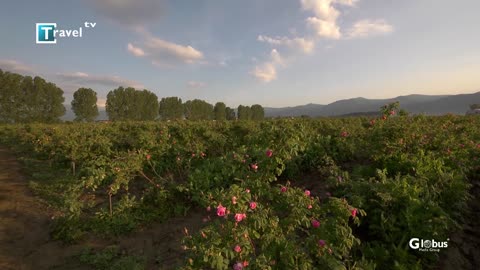 Фестивал на Розата 2016 Казанлък _ Bulgaria Rose Festival, 2016 Kazanlak