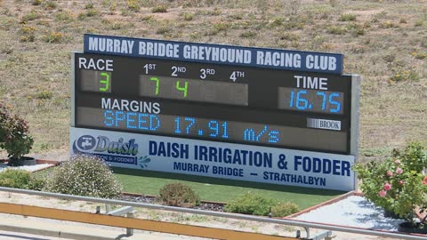 Murray-Bridge-14122021-Race-3