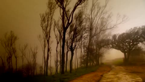 Autumn turned to winter with a patchwork of light and shadow.