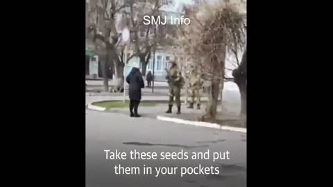 Ukrainian woman offers seeds to Russian soldiers so 'sunflowers grow when they die'