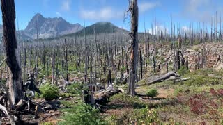 Central Oregon - Mount Jefferson Wilderness - Burnout Basin