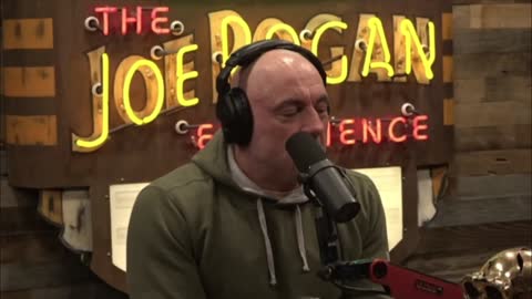 How many dead bodies did you see? WoW!! Joe Rogan Mike Glover.