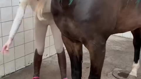 Time for a bath #equestrian #horse #horselover #horseriding