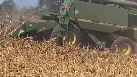 John Deere 9500 cutting a little hillside corn