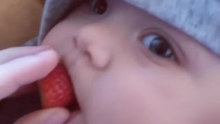 Hungry baby preciously nibbles on strawberry