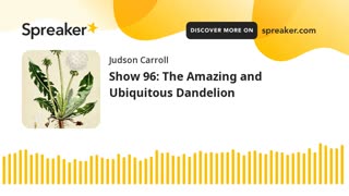 Show 96: The Amazing and Ubiquitous Dandelion