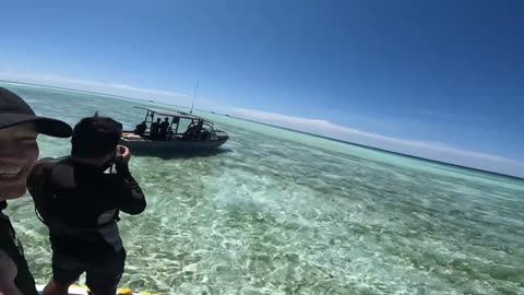 Best Marine Diversity,Tubbataha Reef near Sulu Sea Mindanao,Philippines