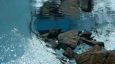 Crystal Clear Waters Exploring the Enchanting Underwater World