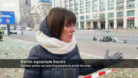 Giant Berlin hotel aquarium with 1,500 fish explodes