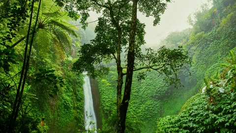Jungle Waterfalls Ambience (NATURE AMBIENCE)