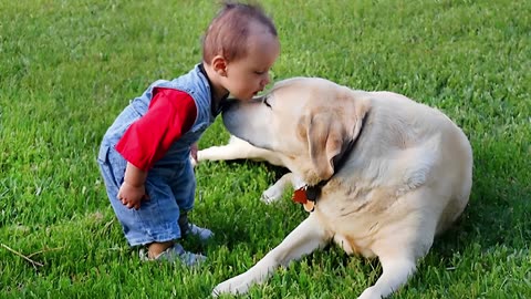 When We Are the Cutest Gang - Cute moments dog and their little friends