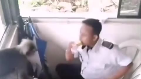 Monkey snatched the banana🍌 from the security guard which is caught on camera