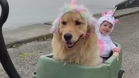 Dogs are the best friend to babies