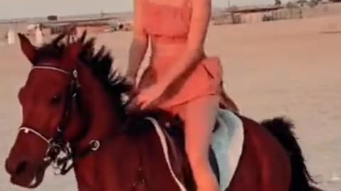 Horses ride