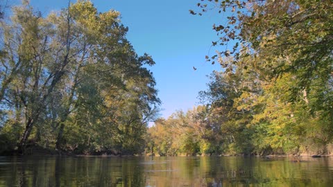 Flowing Autumn River Nature Ambience - 1 Hour Ambient Nature Video