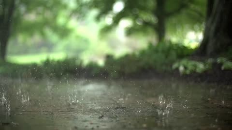 Raindrops (Free to Use HD Stock Video Footage)