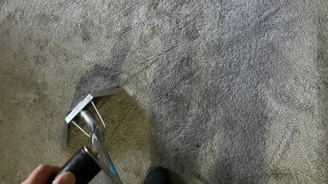 Jetsons Carpet Cleaning Care in Woodland Hills, CA