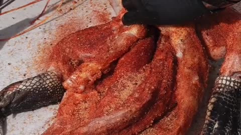 Smoked Reaper Gator #gator #alligator #bbqtiktok #bbqfood #viral