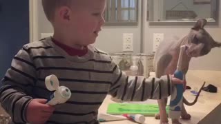 Toddler and sphynx brush teeth together