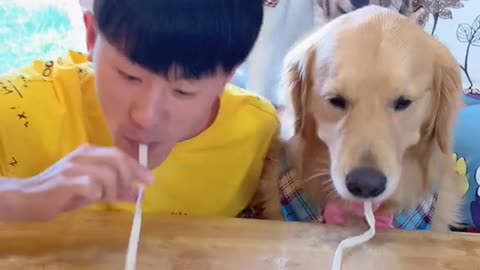 Dog competes with owner over eating